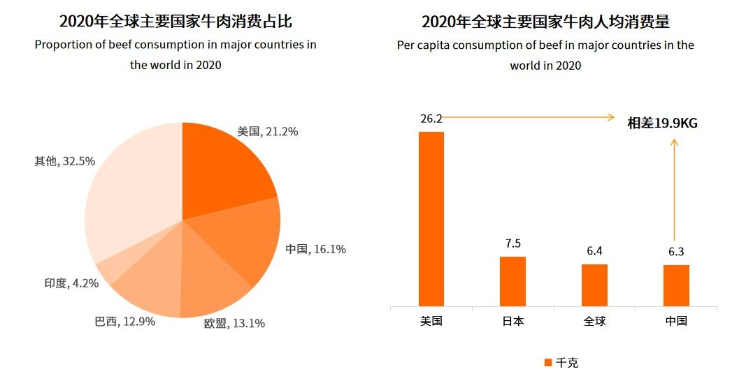 技術賦能預制菜高質量發展，牛肉類預制菜正悄然崛起
