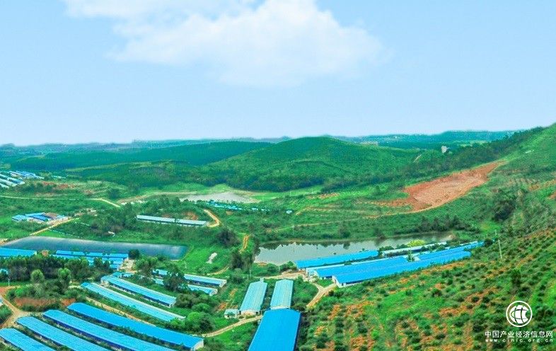 背后的力量 | 華云數據助力壹號食品加快數字化轉型 為畜牧業發展注入新動能