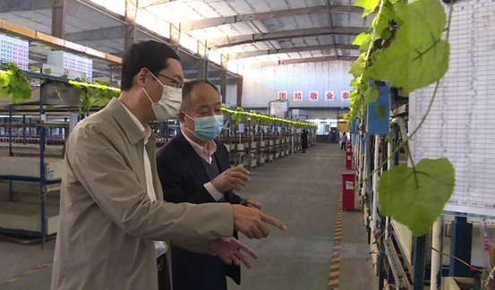 20221011155539872.png image.png