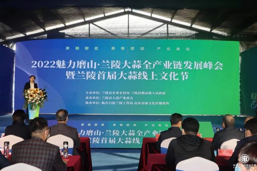 蘭陵大蒜文化節展磨山魅力，聚焦蒼山大蒜產業發展成果