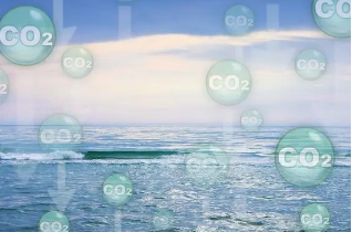 《海洋碳匯核算方法》批準發布 2023年1月1日起正式實施