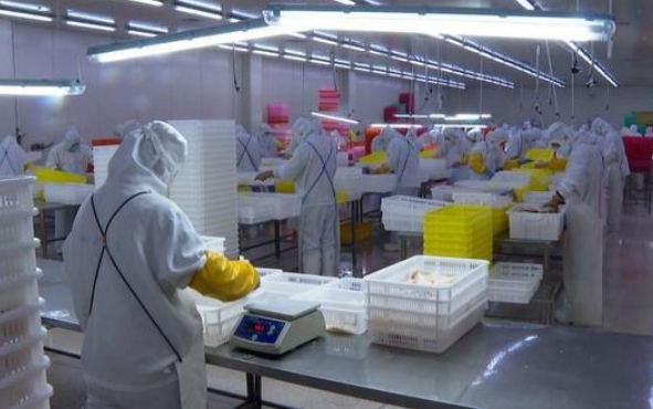 遼寧省印發實施方案 到2025年建設100個左右產銷冷鏈集配中心