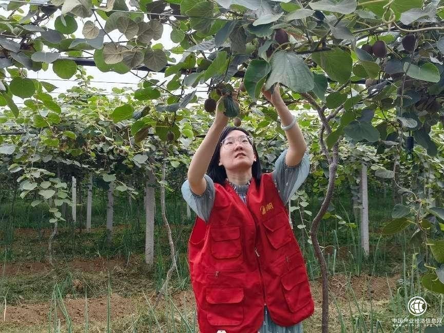 鄉村振興好“豐”光