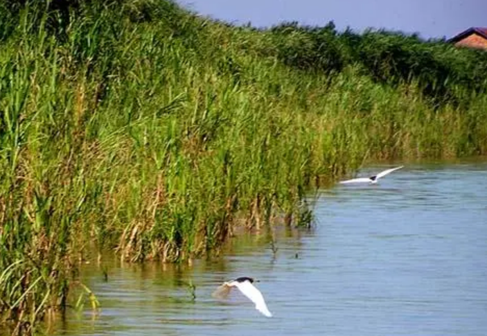 湖南濕地保護修復“十四五”專項規劃發布