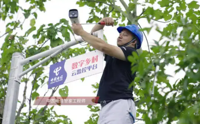 從扶貧攻堅到鄉村振興 中國電信“跨越山海”點亮“數字鄉村”