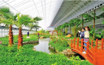 農業旅游不再是傳統的“農家樂”