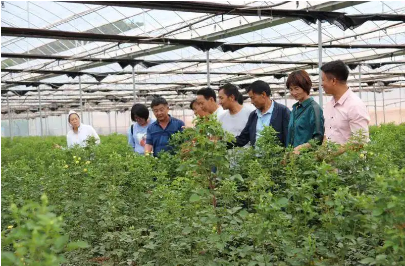 云南啟動“頭雁”項目培育鄉村產業振興帶頭人