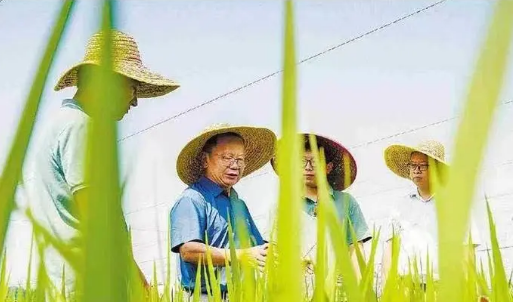 廣東著力打造懂農業、愛農村、愛農民的“三農”工作隊伍