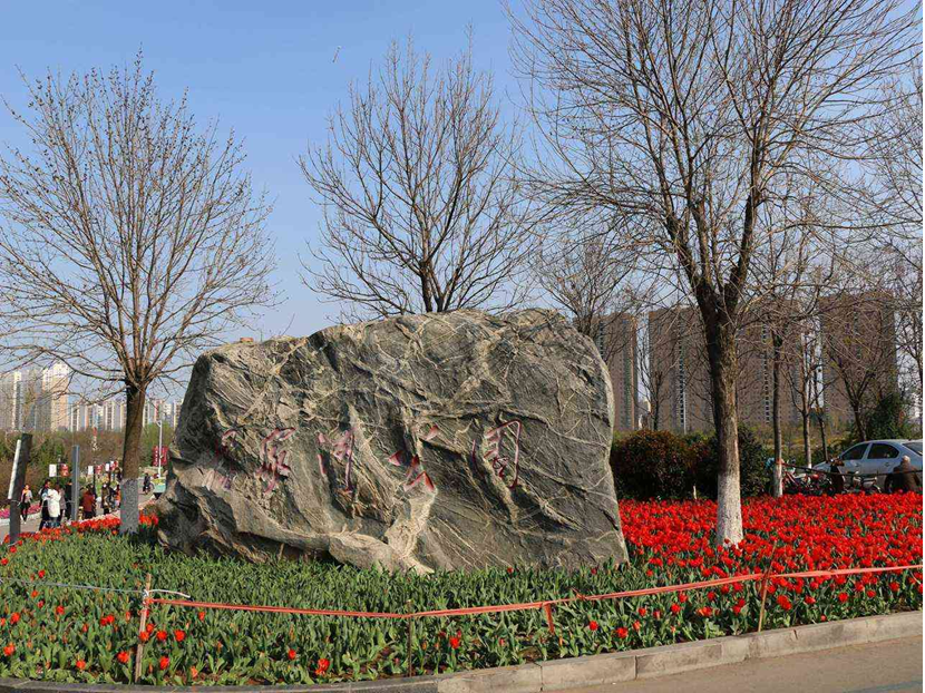 發揮聯動機制    規范審批程序