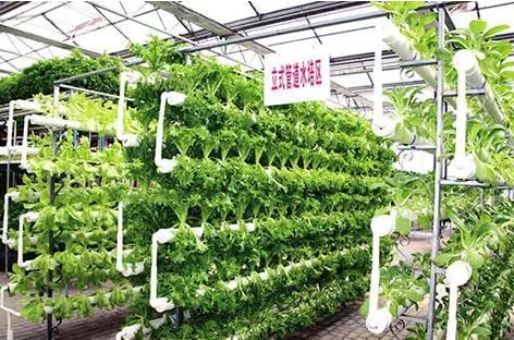 最高獎補1000萬元 山西一攬子措施推動農業產業化龍頭企業倍增