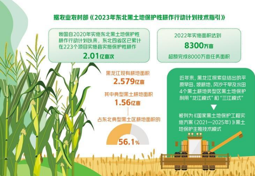 《黑土地保護法》實施后迎來第一個收獲季——用養并重解碼黑土地豐收