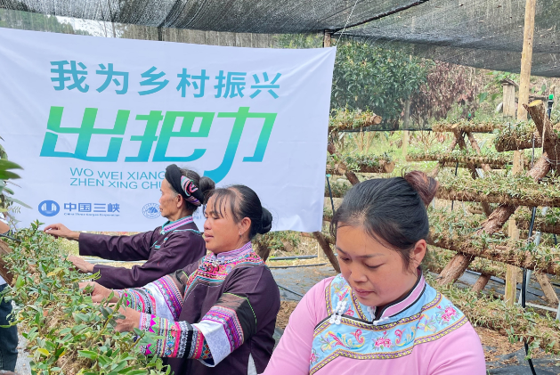 中國三峽集團“我為鄉村振興出把力”首批20個項目成效初顯