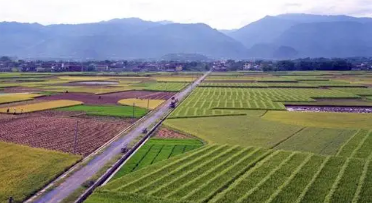 廣西規范農田建設補助資金管理
