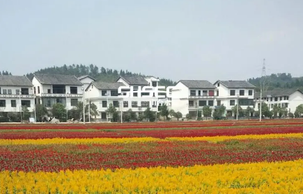 湖南：完成12項重點任務 建設宜居宜業和美鄉村