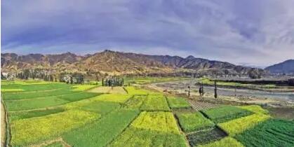 四川涼山建設農業科研高地 將打造一批百億元級產業集群