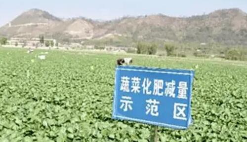 農業農村部：到2025年有機肥施用面積占比增加5個百分點以上