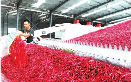 山西：產業幫扶，美了鄉村富了農民