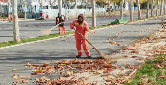 20221214110743478.png image.png