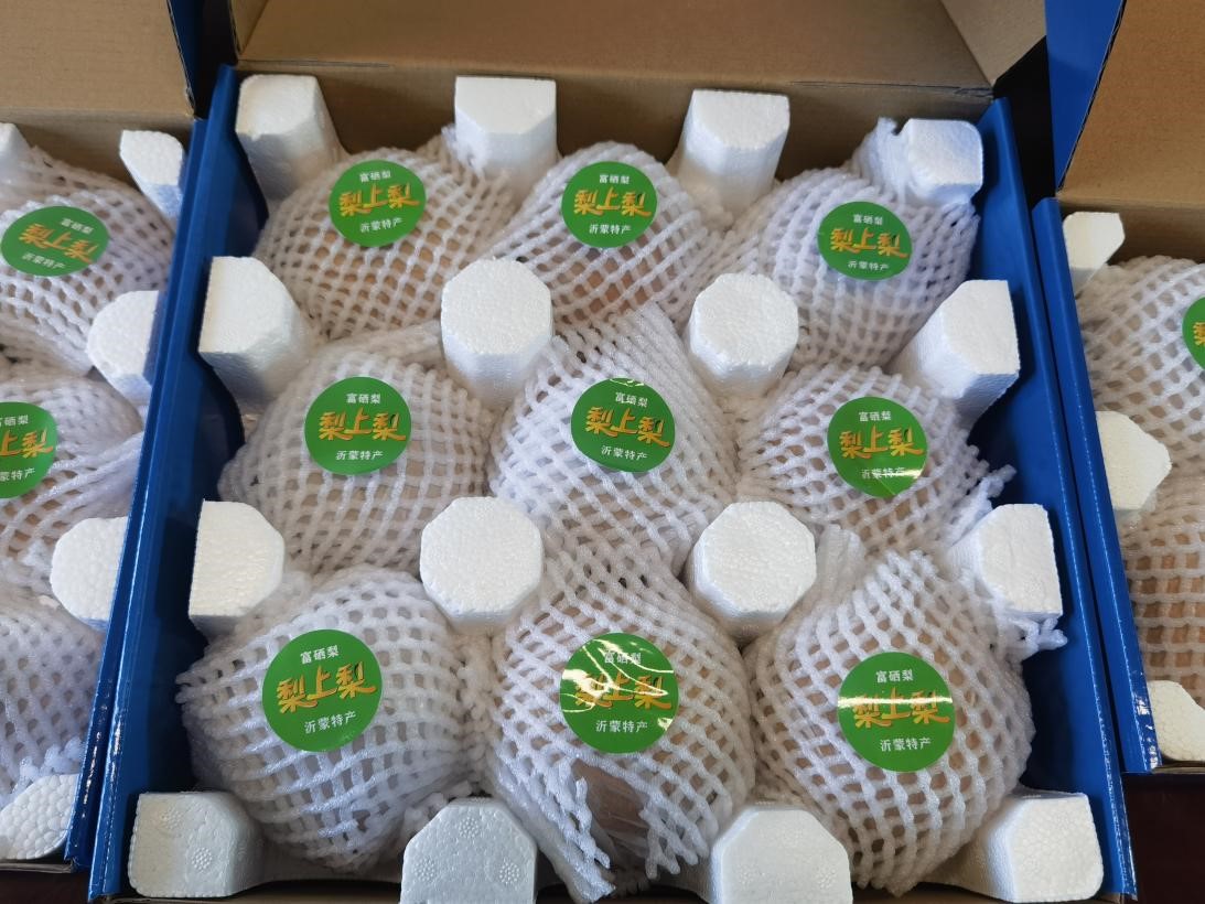 20221227144547538.jpg 20221227144547538.jpg