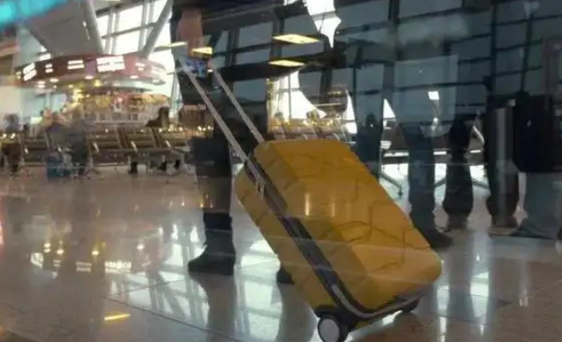 中國公民有序恢復出境旅游！全球多國發聲