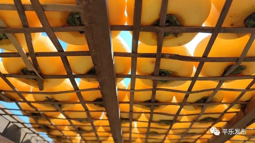 20221231171054214.jpg 20221231171054214.jpg