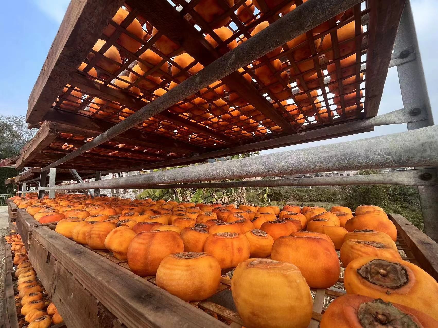 20221231171242232.jpg 20221231171242232.jpg