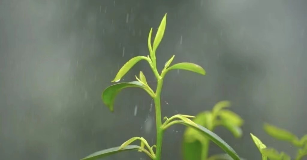 20221231171536232.jpg 20221231171536232.jpg