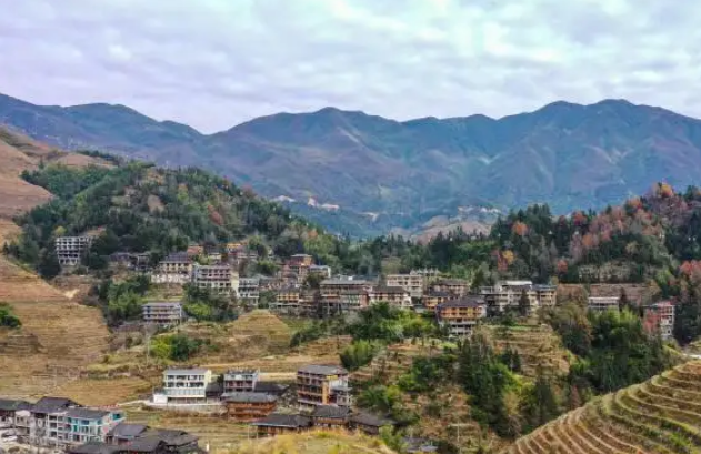 種出好風景  創造好生活