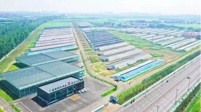 山東濟寧高新區深耕數字鄉村建設 為鄉村全面振興注入“數智”動力