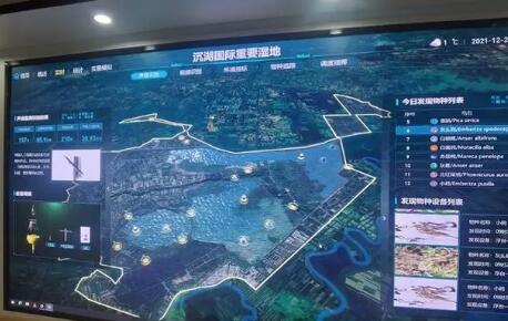 中國電信助力武漢首個“智慧濕地”建設項目升級完成