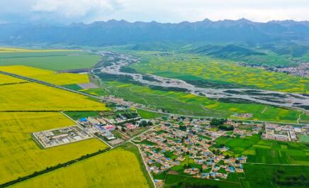 青海：多項民生實事助力鄉村振興