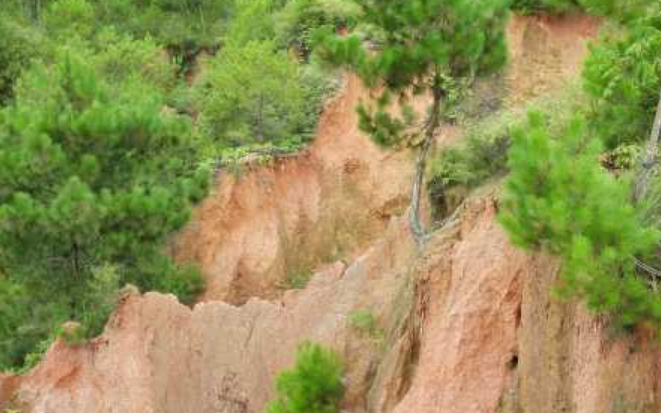我國水土流失面積和強度持續“雙下降”