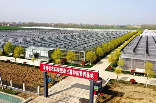 扛穩糧食安全責任 河南省這樣建設農業高新技術產業示范區