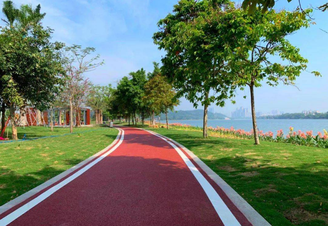 廣東建成碧道逾5200公里 助力打造綠色水經濟新業態