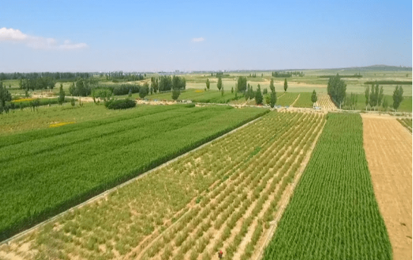 寧夏嚴格“進出平衡”嚴守耕地紅線