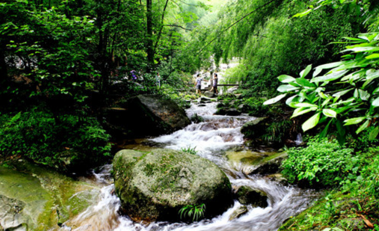 湖南生態旅游呈平穩復蘇態勢 去年實現綜合收入1153.22億元