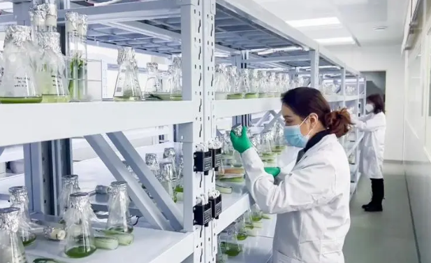 新疆高新技術企業總量超千家