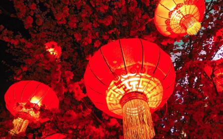 活力旺盛 增益全球——世界歡迎中國春節消費熱潮