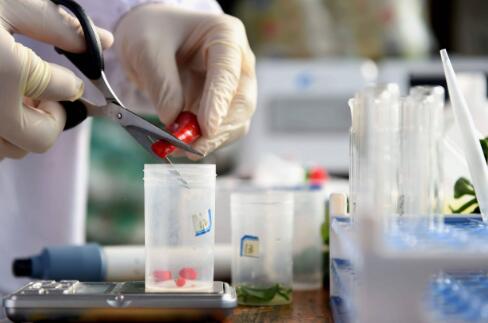 市場監管總局發布規范食品快速檢測使用意見