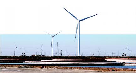 山東東營：鹽堿荒灘上崛起百億元級風電產業園