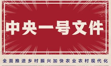 凝心聚力全面推進鄉村振興——農業農村部負責人解讀中央一號文件