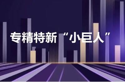 第五批專精特新“小巨人”企業培育啟動