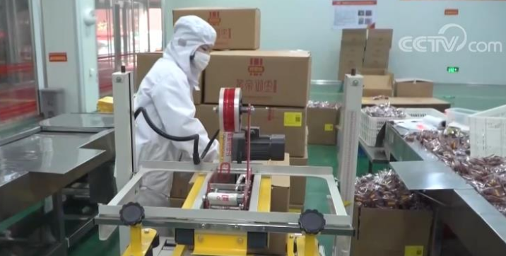 勞動力市場迎來“開門紅” 新型用工模式保障穩定就業