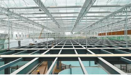 重慶首個魚菜共生數字工廠在梁平正式投產