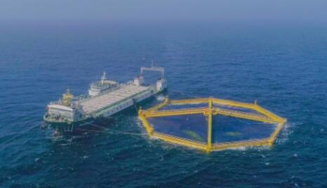 山東海洋集團推動養殖數字化 探索深海養殖新模式