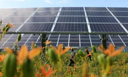 多部門聯合組織開展農村能源革命試點縣建設