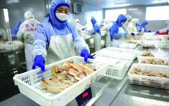 十一部門發文 培育傳統優勢食品產區和地方特色食品產業