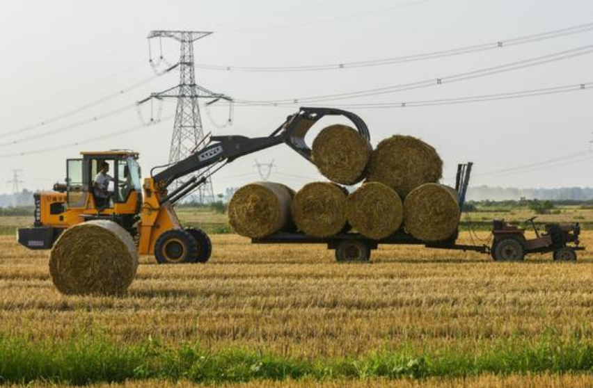 報告顯示我國主要農產品碳排放強度呈下降趨勢