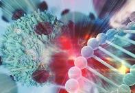 新型細胞療法有望治愈兒童罕見癌癥