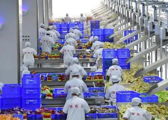 打造地方特色食品產業